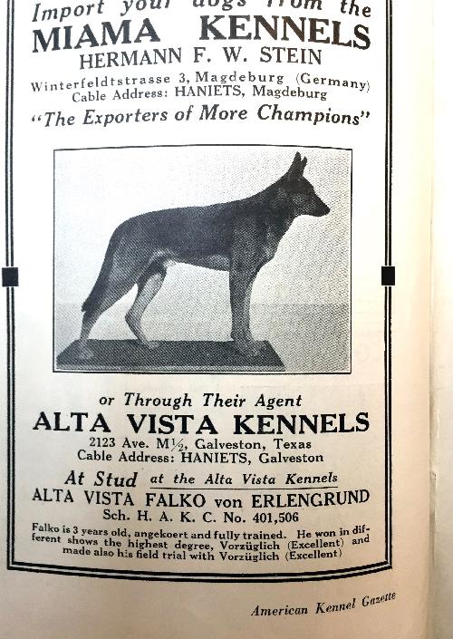 German Shepherd