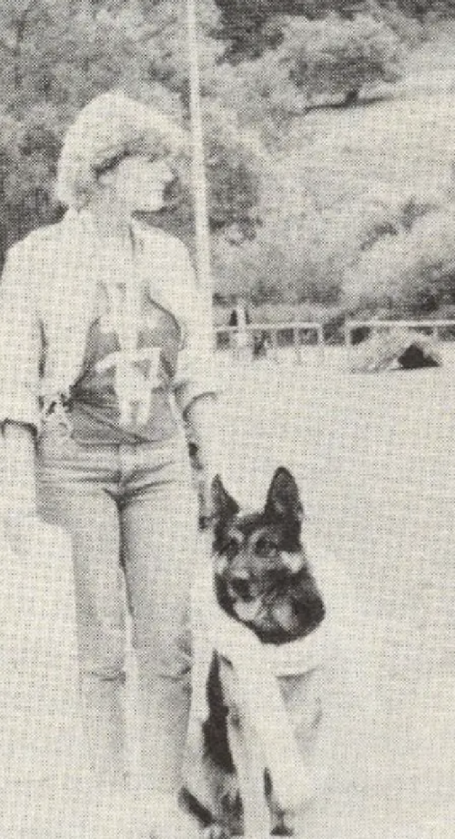 German Shepherd