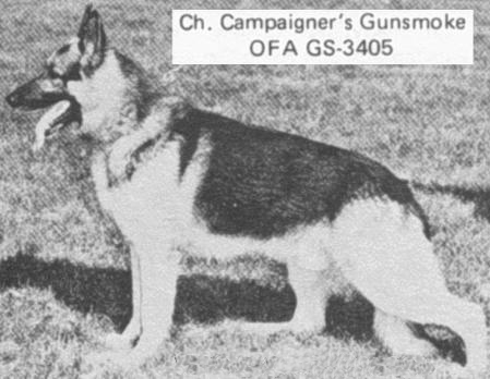 German Shepherd