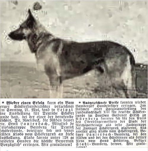 German Shepherd